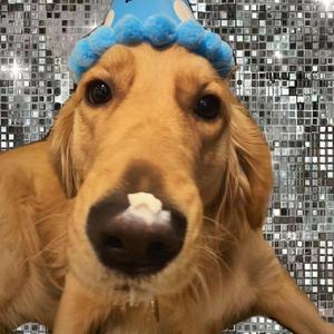 美女➕光屁屁➕捆绑
