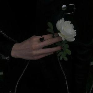 美女➕光屁屁➕捆绑
